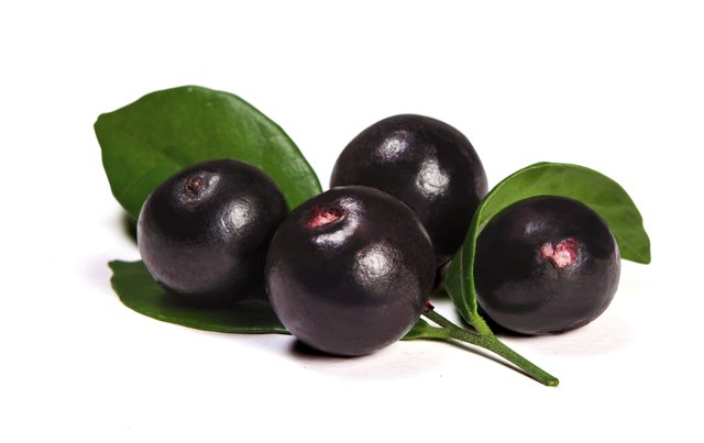 Acai in the pot