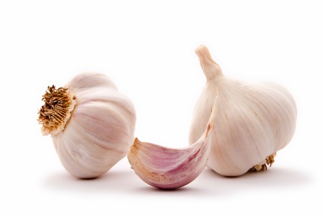 Garlic bulbs