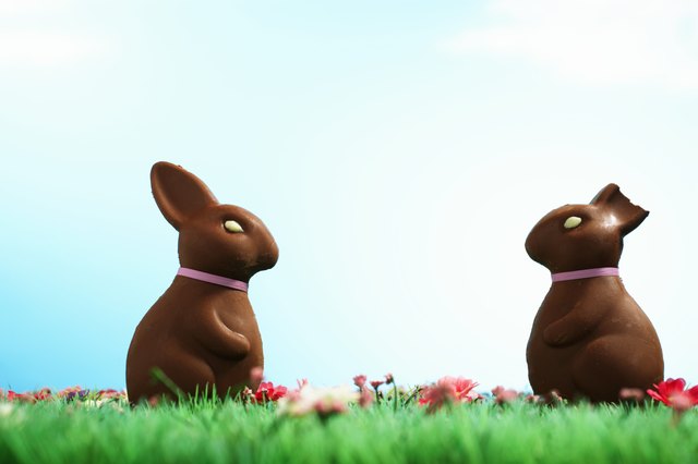 Two chocolate Easter bunnies one with half of ear bitten off