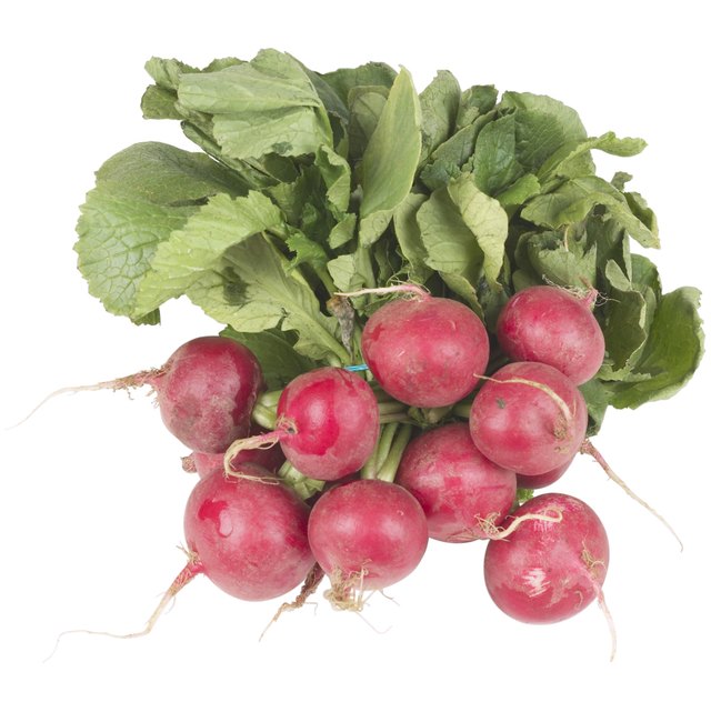 Group Of Radishes