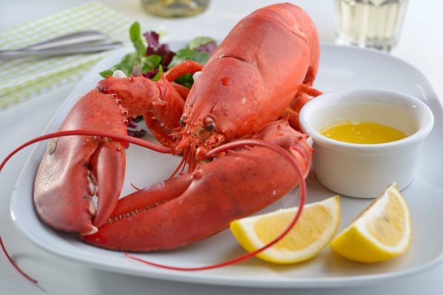Lobster