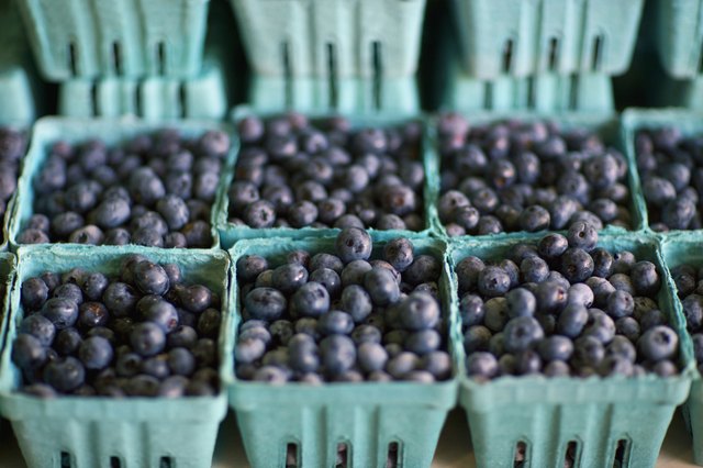 Blueberries in Cartons