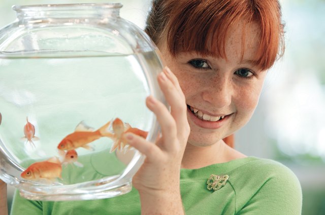 Girl holding goldfish bowl