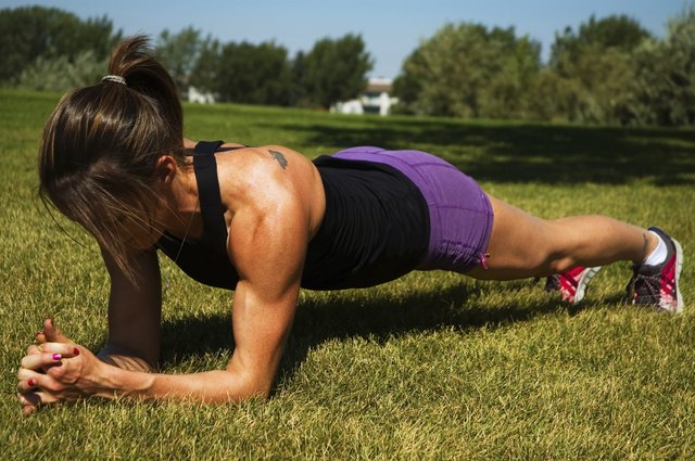 The Plank