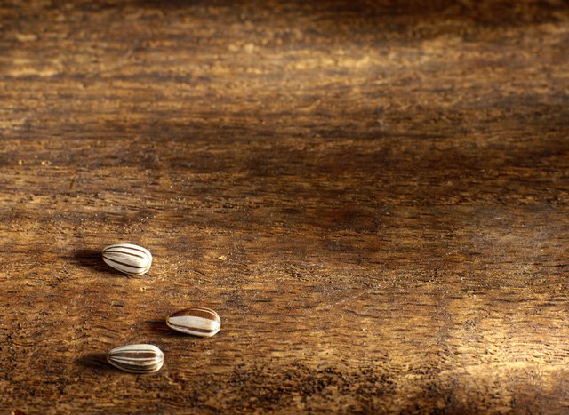 Three Sunflower Seeds