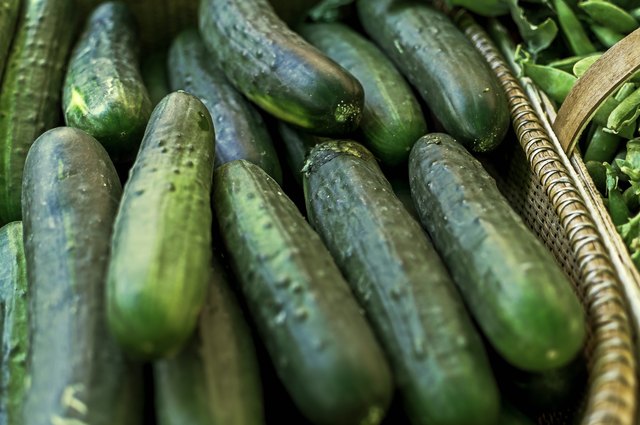 Basket of cucumbers