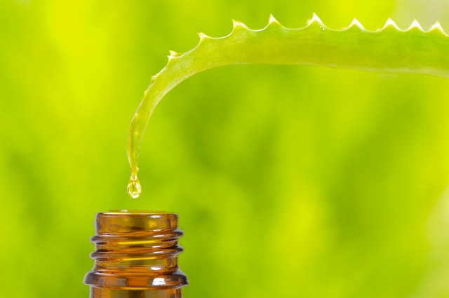 Aloe vera as alternative medicine