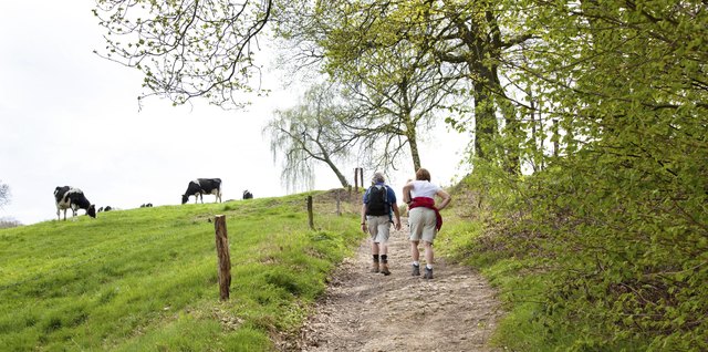 elderly couple walking