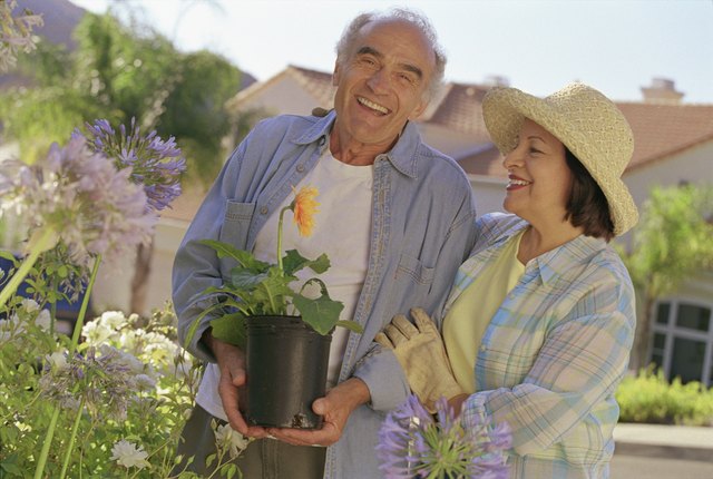 Senior Hispanic couple gardening