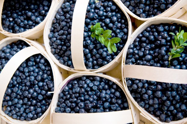 Blaubeeren im Korb blueberries in a basket