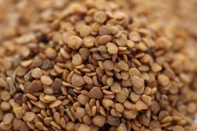 Ashwagandha seed (Withania somnifera)