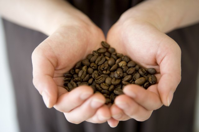 A Woman's Hands Holding Fresh Coffee Beans