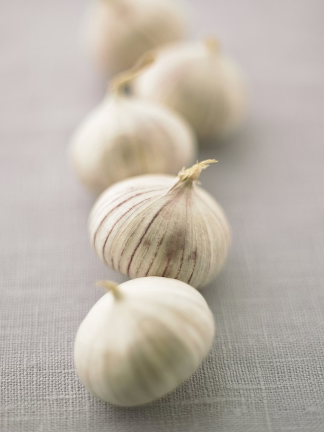 food-poisoning-from-garlic-livestrong