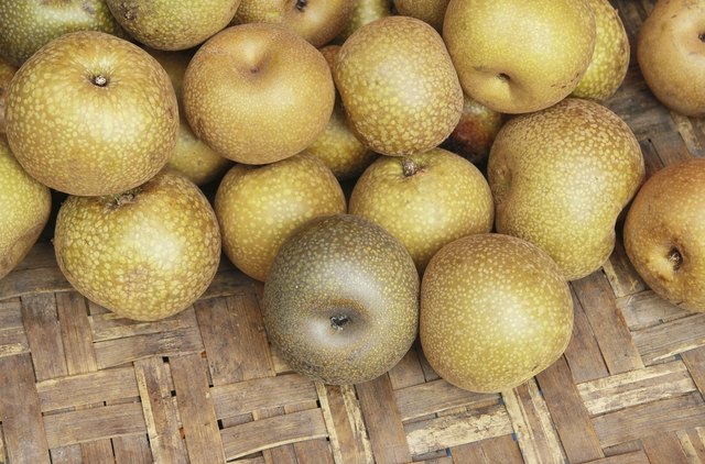 Chinese pear