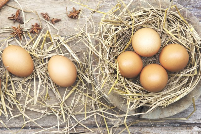 Farm fresh egg
