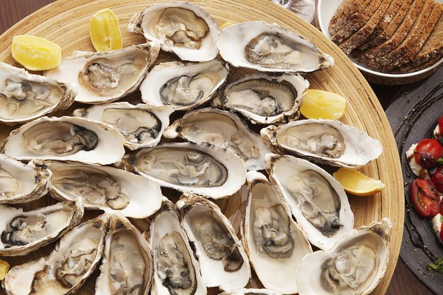 oysters