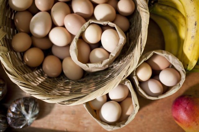 Baskets and bags of eggs overhead.