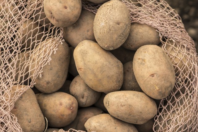 potato