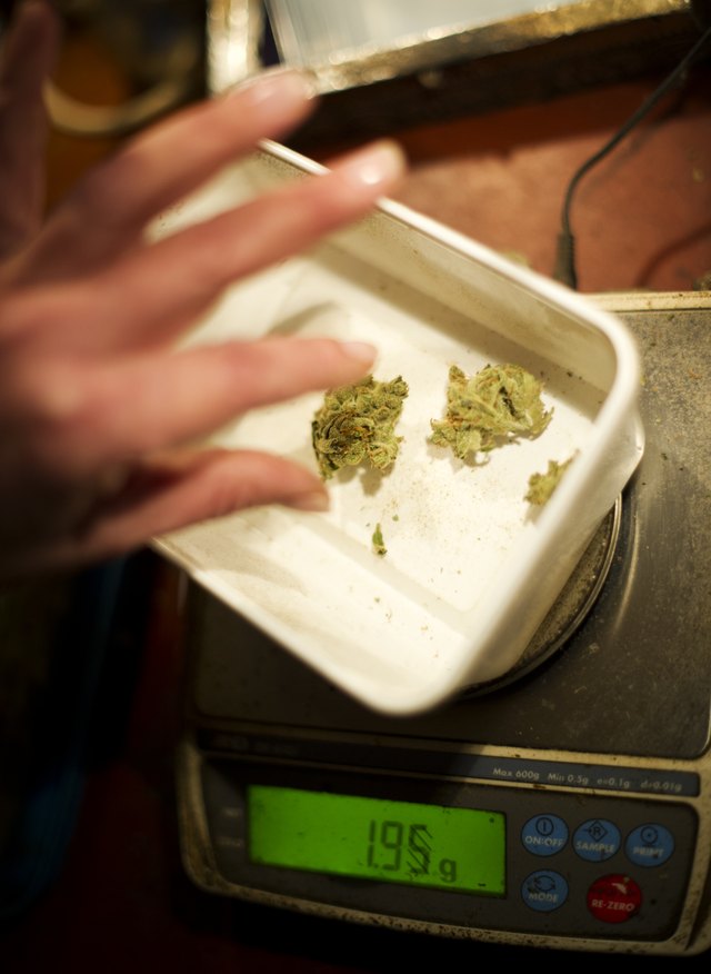 Coffee Shops In Amsterdam Remain Open To Tourists