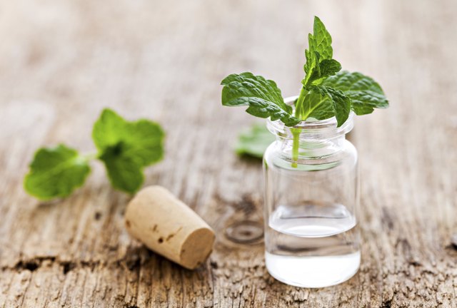 mint oil
