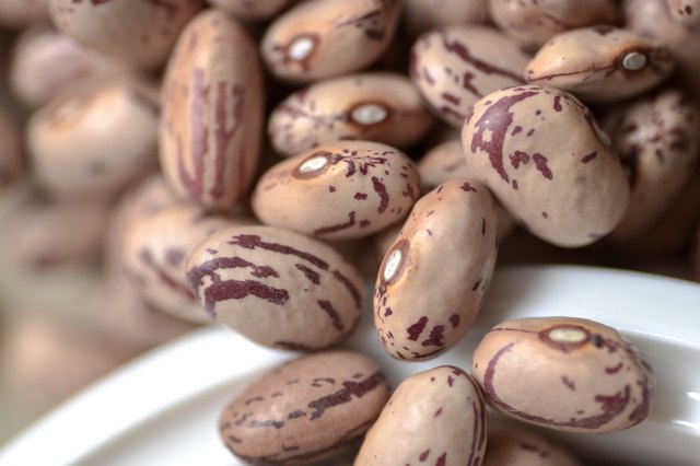Beans