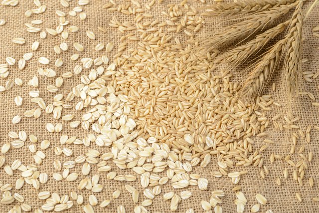 oatmeal