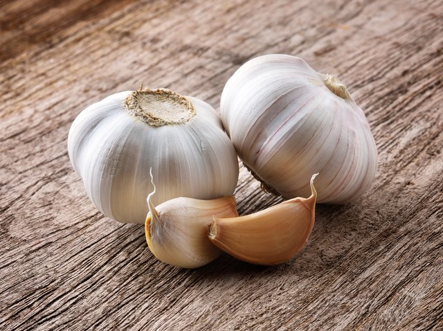 Organic garlic whole and cloves on the wooden background
