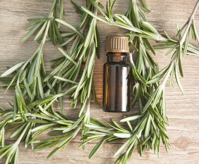 aromatic oil of rosemary