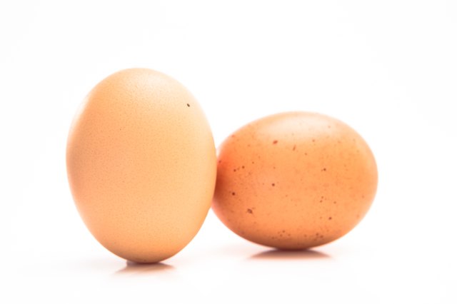Pair of eggs