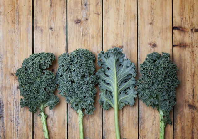Kale super vegetable on wooden textured background