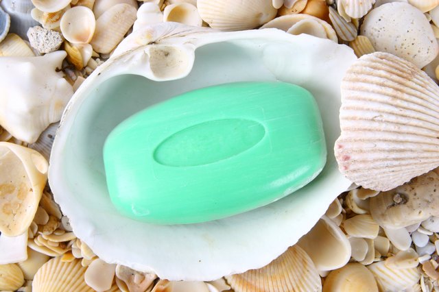 Soap in shell