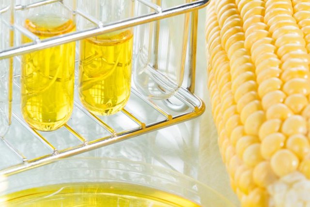 Biofuel or Corn Syrup, gasoline, energy, environmentalist