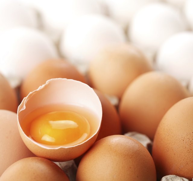 eggs