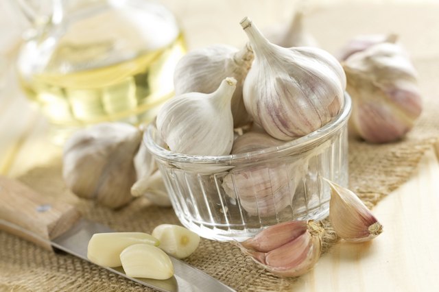 Garlic
