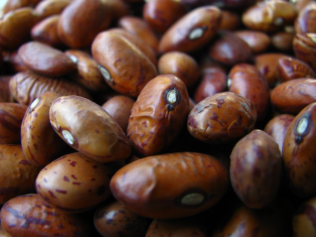 Kidney Beans