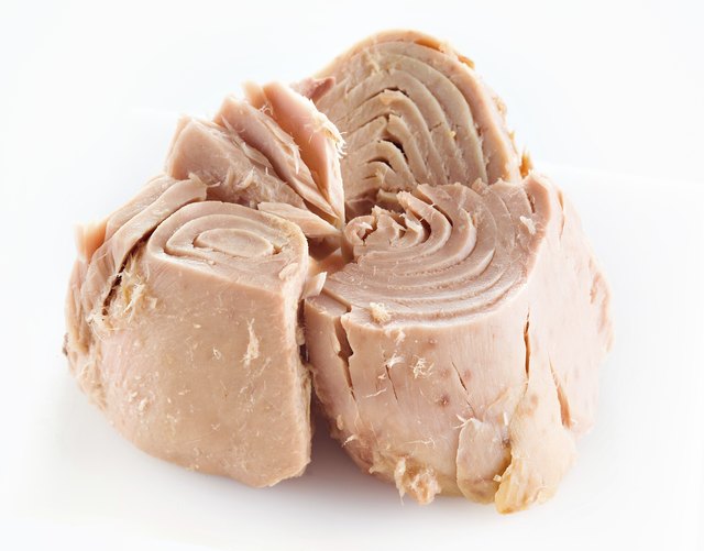 tuna fish. Piece isolated on white