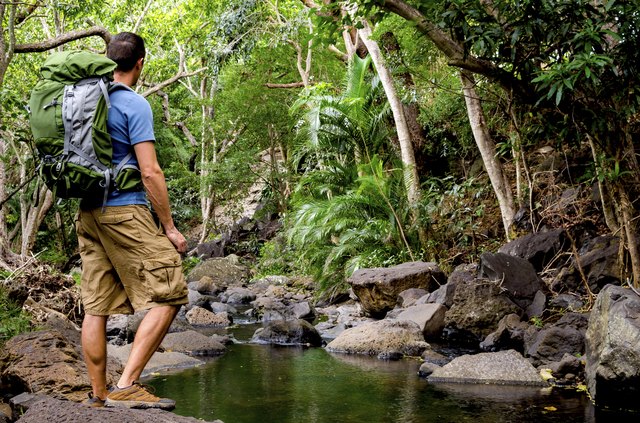 Male Hiker Next To River in Jungle