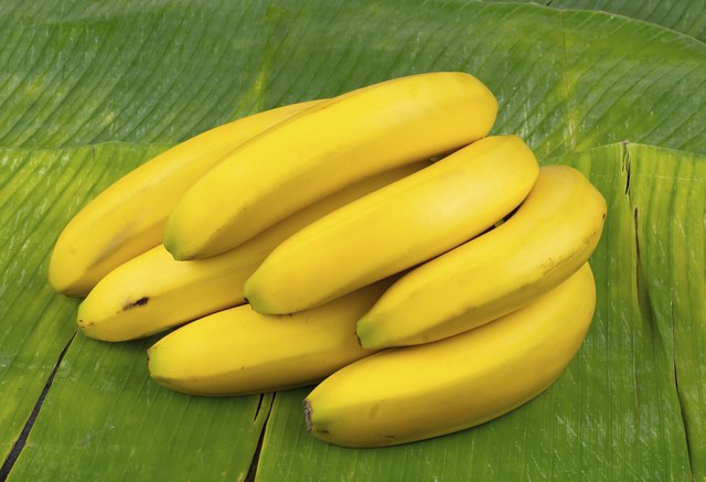 perfect yellow bananas on a banana leaf