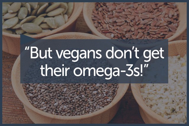 The 11 Biggest Myths About The Vegan Diet Debunked 4647