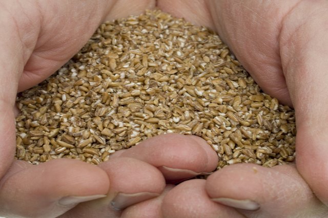 Grains With The Highest Protein