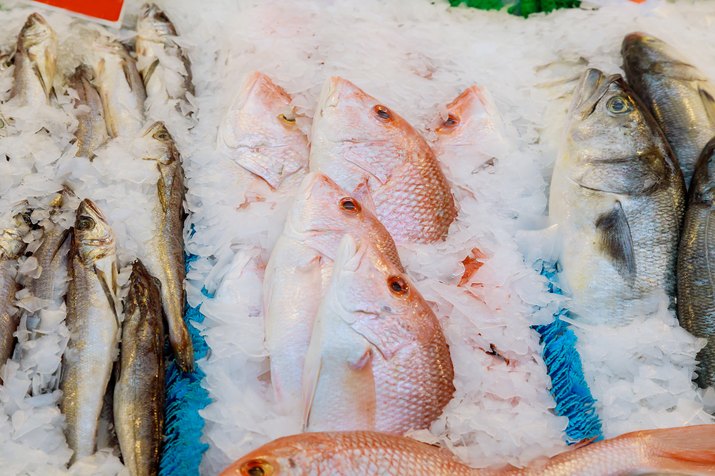 High Angle View Of Fish For Sale In Market