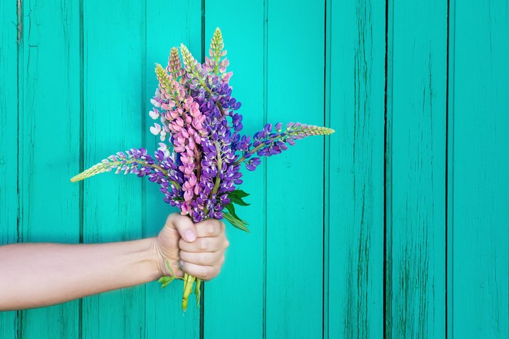 Hand holding flowers against bright wall