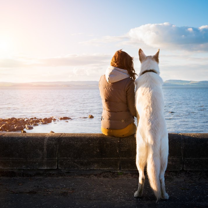 hipster girl with her pet dog at a seaside, colorised