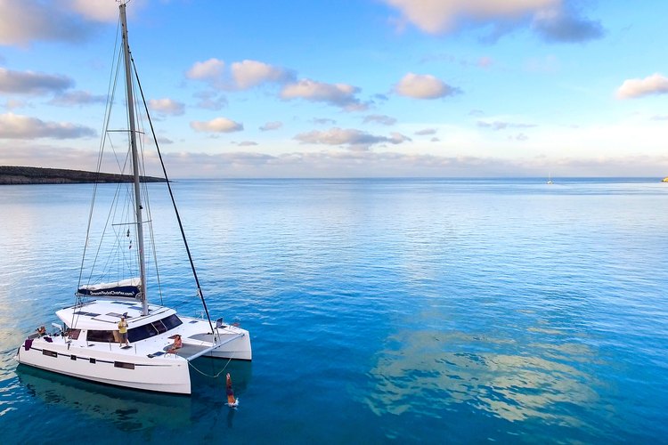 Our catamaran seen from the drone