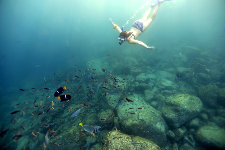 Jess Barron snorkeling