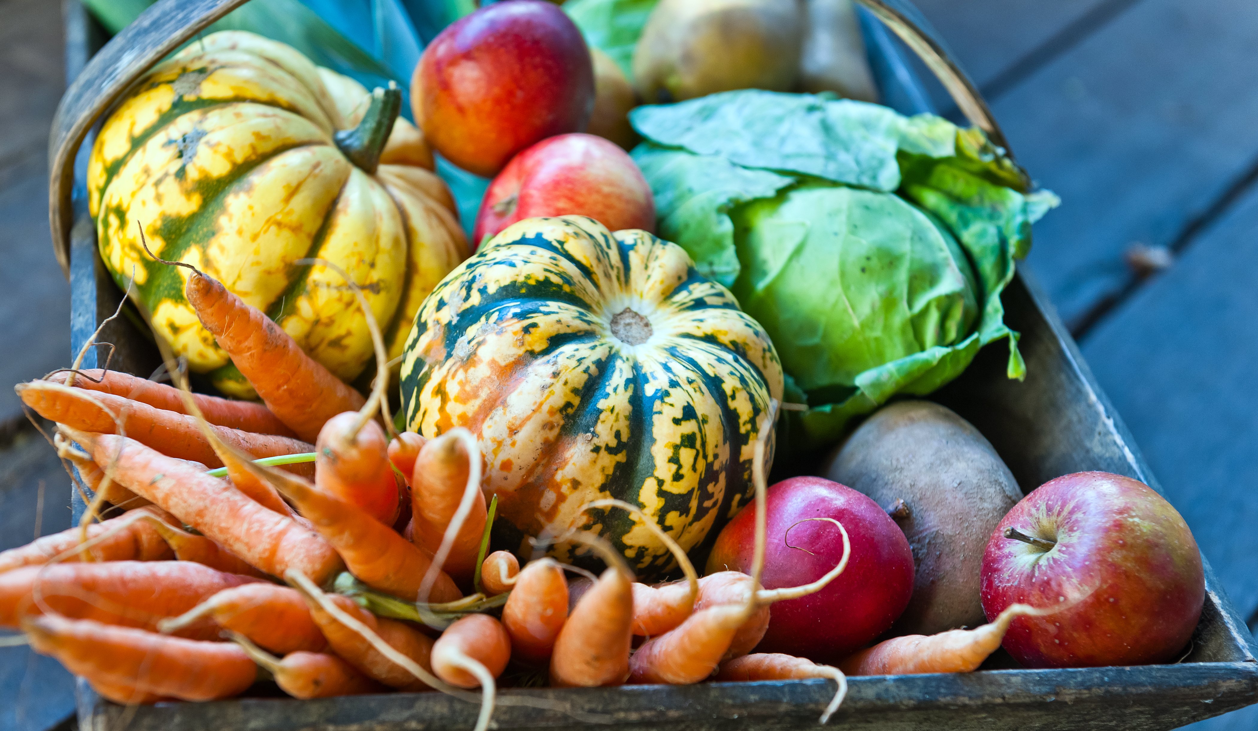 flipboard-10-best-fruits-and-veggies-to-cook-with-this-fall